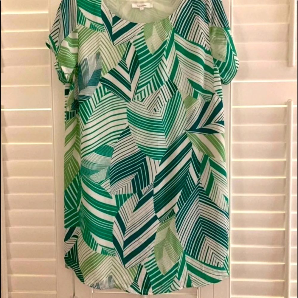 EUC Size L Olivaceous Dress